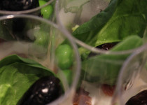 Panna Cotta au Chèvre Frais et aux Légumes Verts