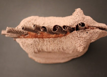 Lamala au chocolat