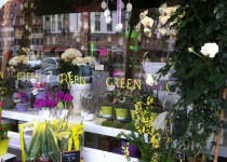 Régis – GREEN FLEURISTE – STRASBOURG