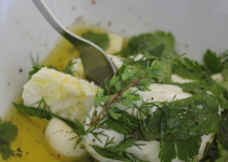 Mozzarella marinée aux herbes du Jardin