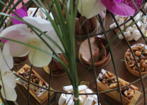 Tarte aux noix des Casses-Noisettes