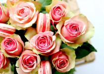 maC’aron Saint Valentin – Rose & Framboise fraîche